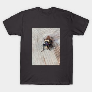 Pretty fly for a smoll guy T-Shirt